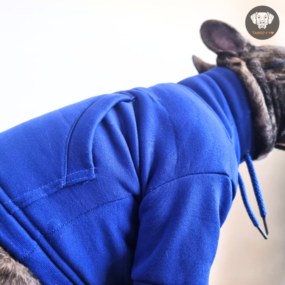 Hoodie Egipcio Azul