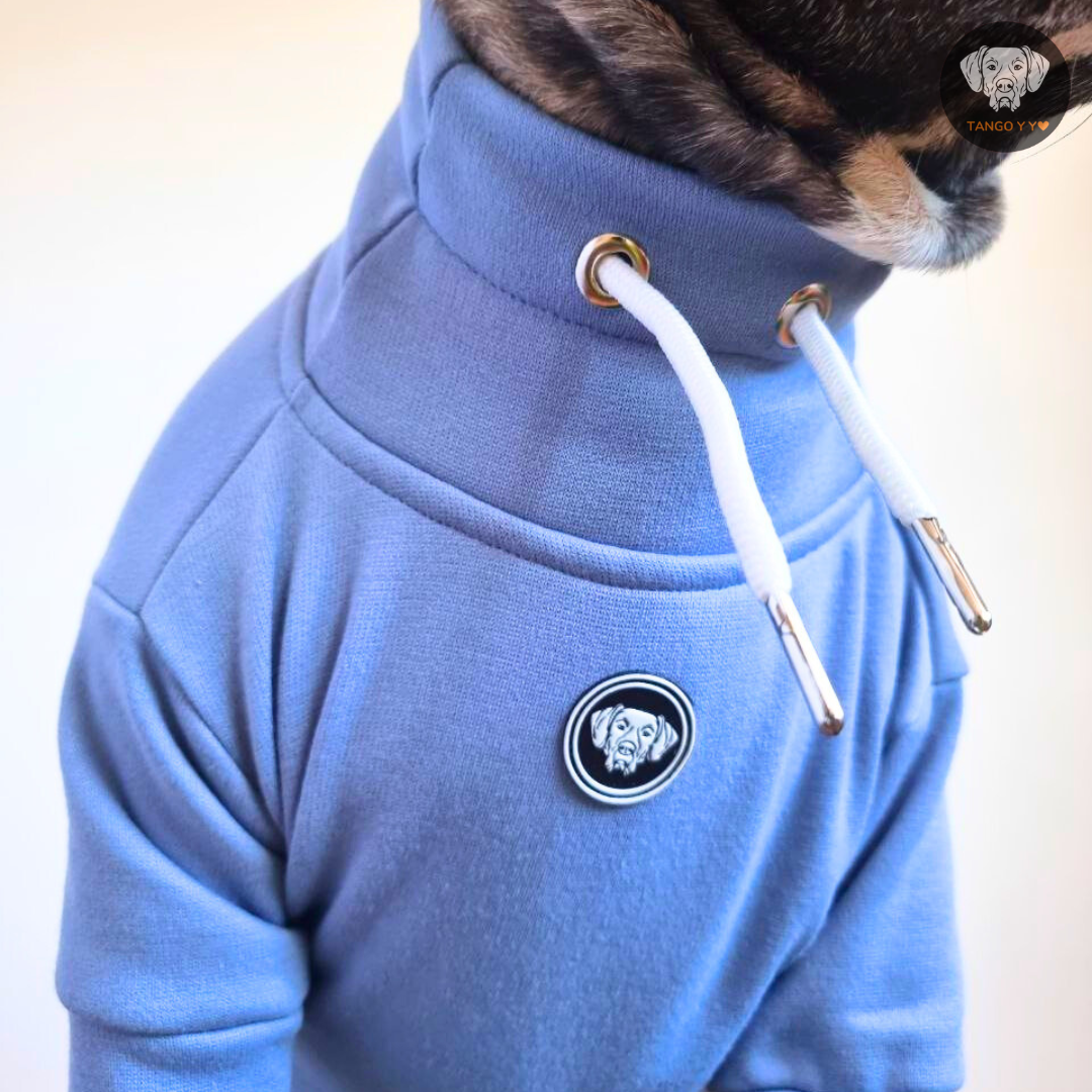 Hoodie Egipcio Azul Cielo