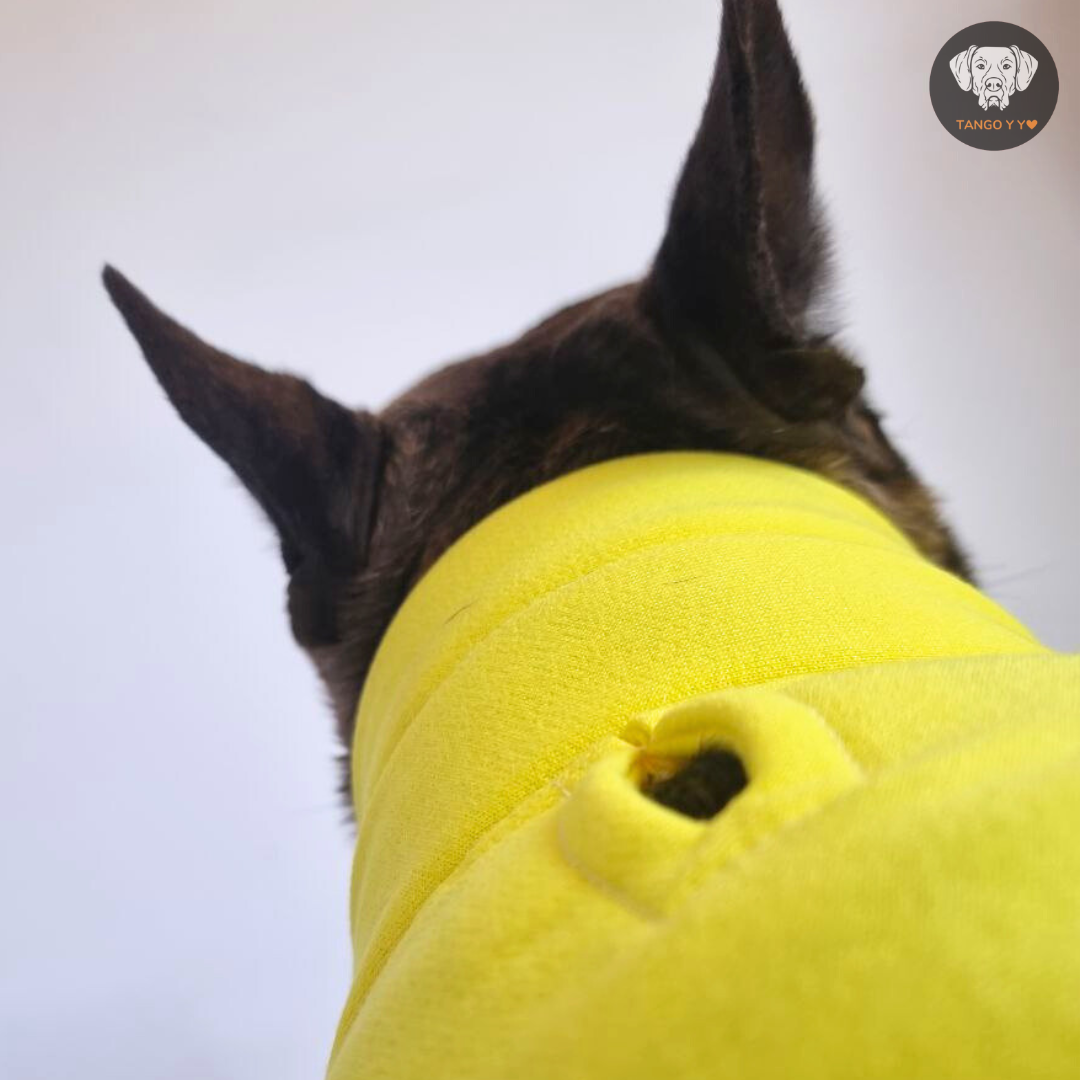 Hoodie Egipcio Amarillo