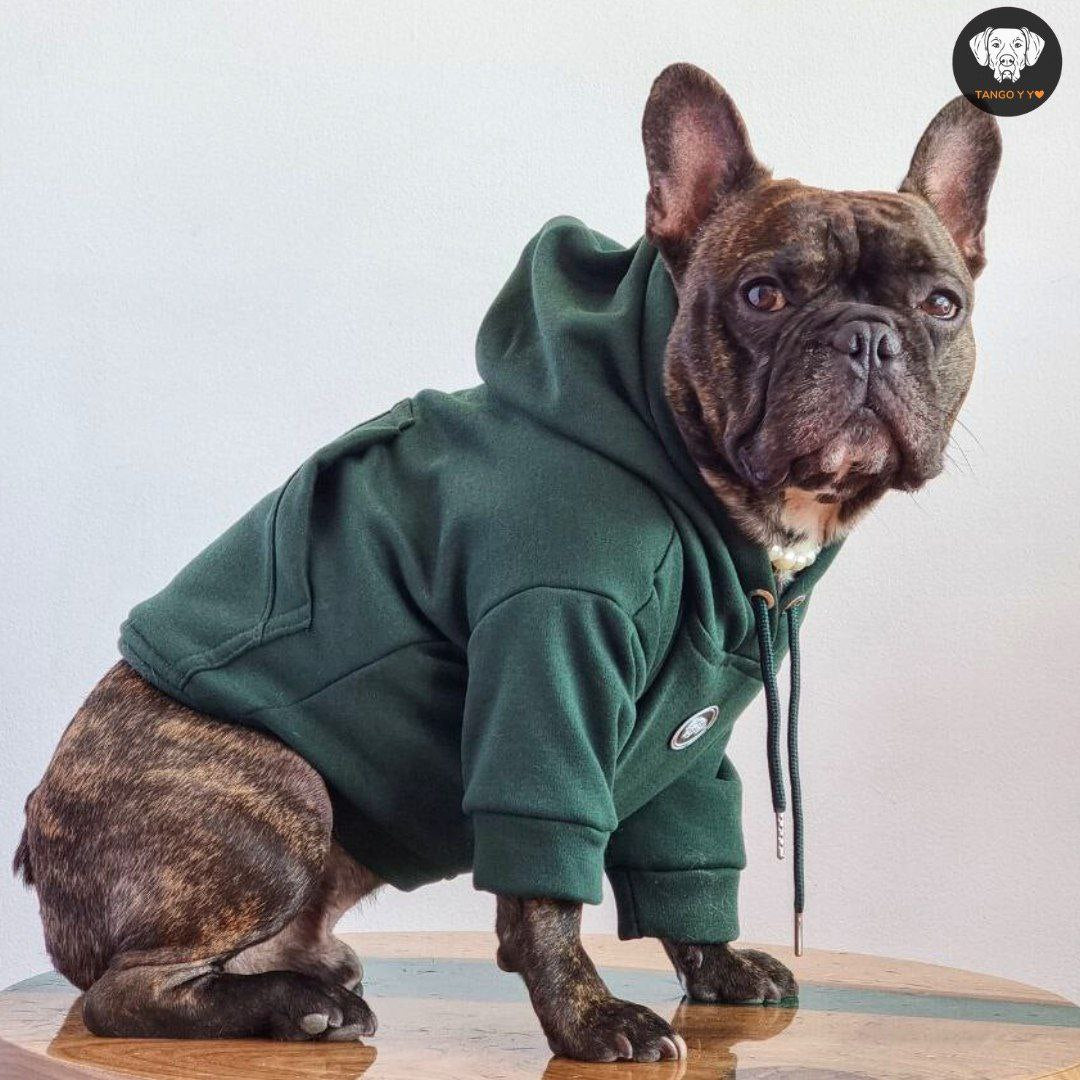 Hoodie Italiano 🐶